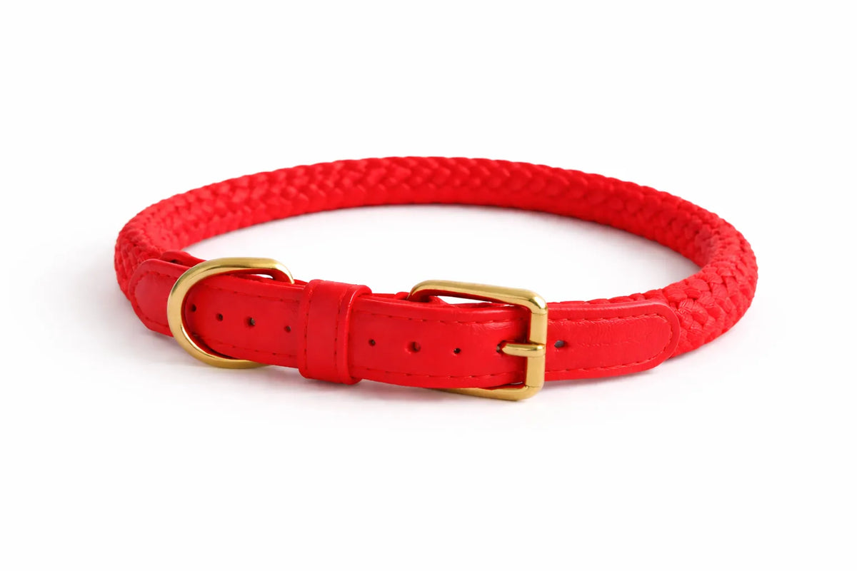 Collar