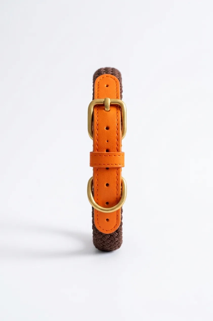Collar