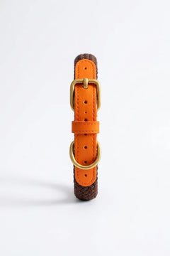 Collar