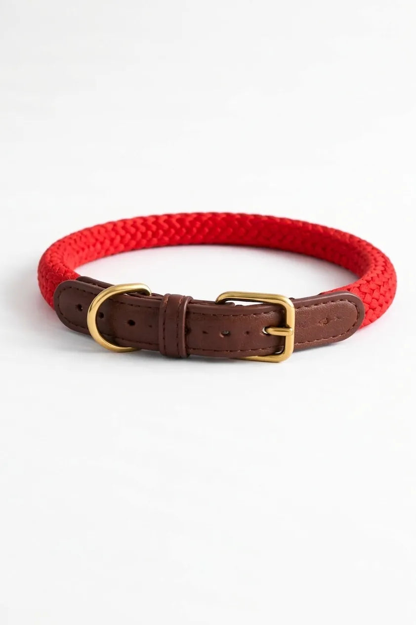 Collar